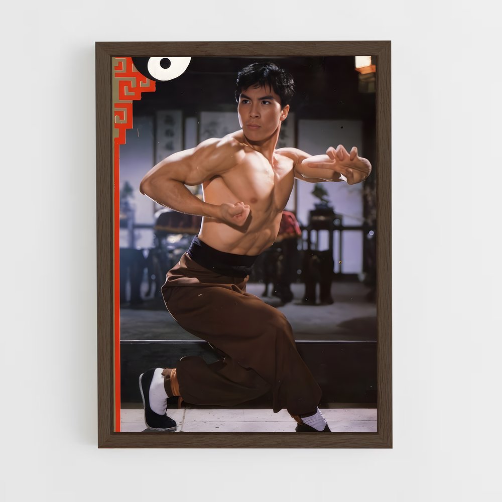 Poster Bruce Wong's Kung Fu (vue 5)